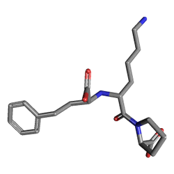 Sinopryl 5 mg 30 Tablet (Lisinopril) Kimyasal Yapısı (3 D)