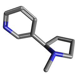 Nicorette Sprey 1 mg Naneli 2 Şişe (Nikotin) Kimyasal Yapısı (3 D) Nicorette Sprey 1 mg Naneli 2 Şişe (Nikotin) Kimyasal Yapısı (3 D)